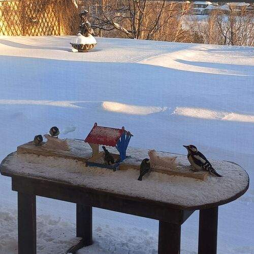 Photo #13707893