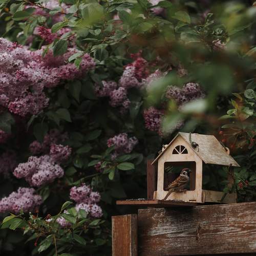 Photo #13707944