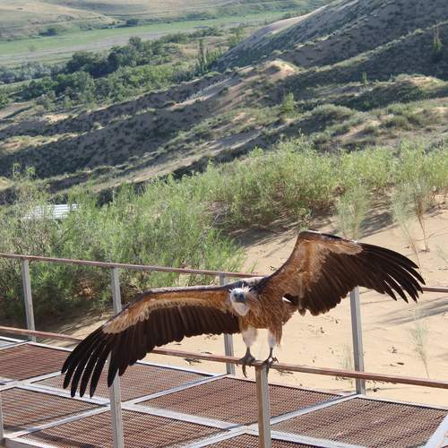 Photo #13707954