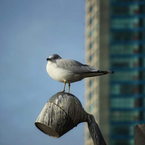 Photo #13707993