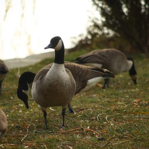 Photo #13707995