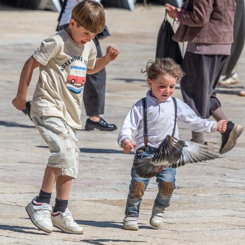 Photo #13708035