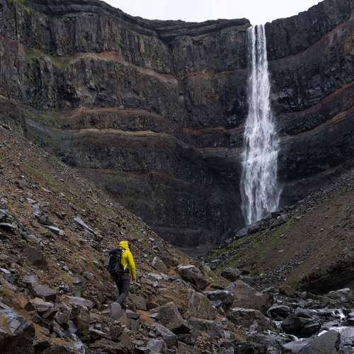 Photo #13708197