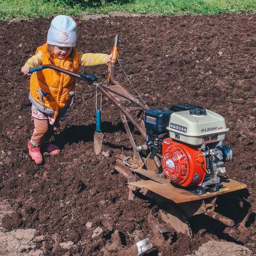 Photo #13708259
