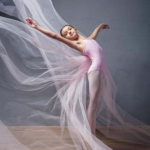 Photo #13708292