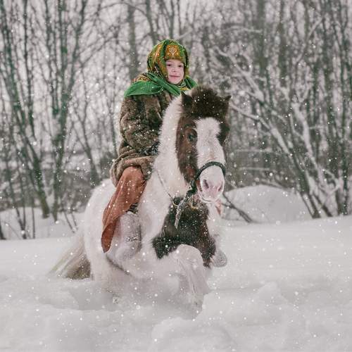 Photo #13708301