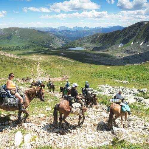 Photo #13708309