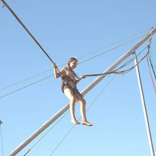 Photo #13708311