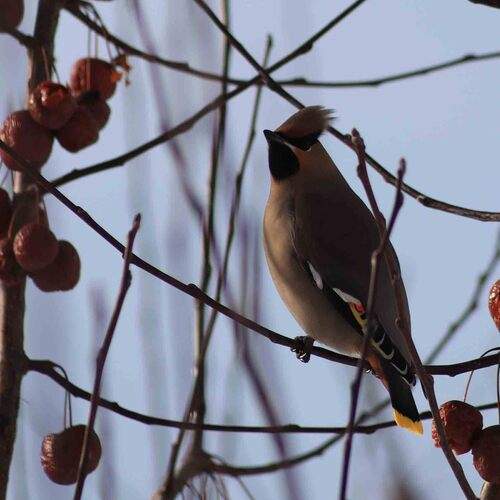Photo #13708357