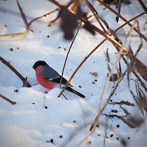 Photo #13708359