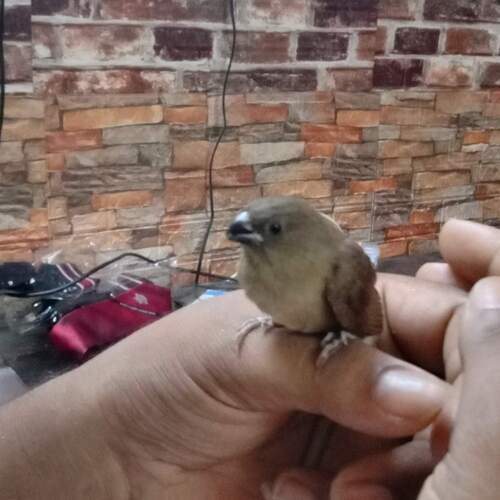 Photo #13708396