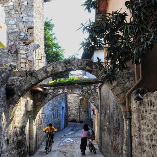 Photo #13708423