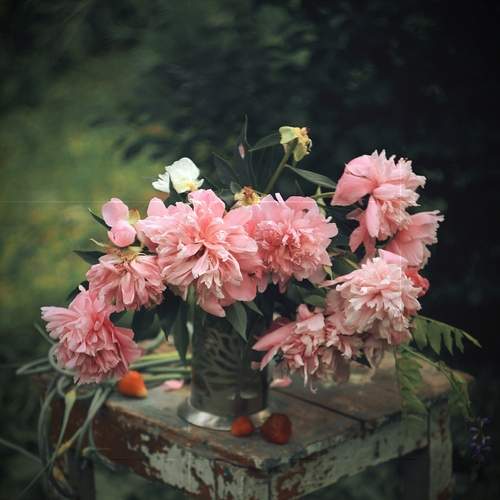 Photo #13708428