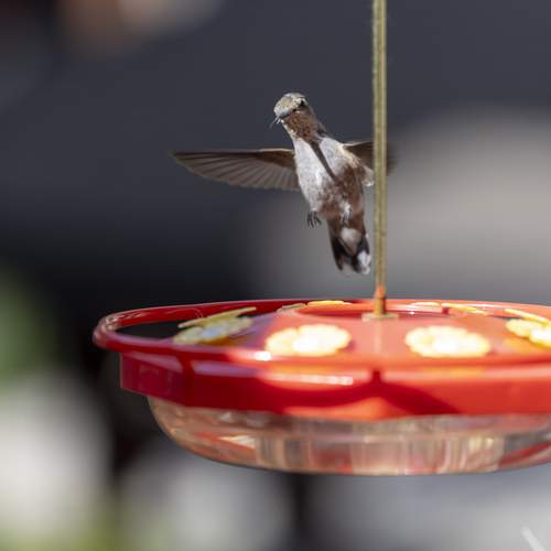 Photo #13708448