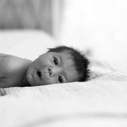 Photo #13708486