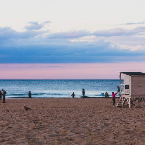 Photo #13708492