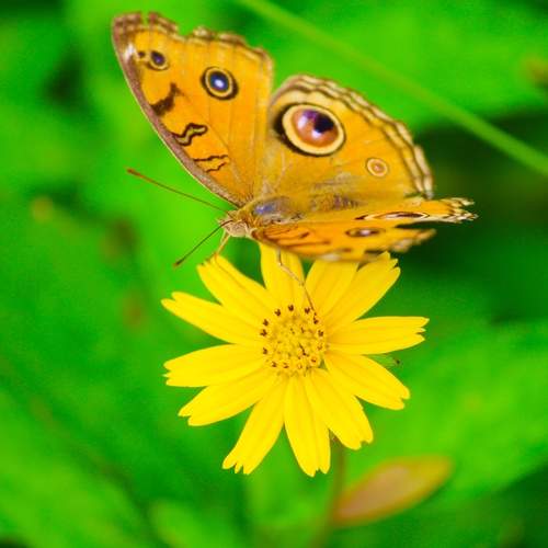 Photo #13708566