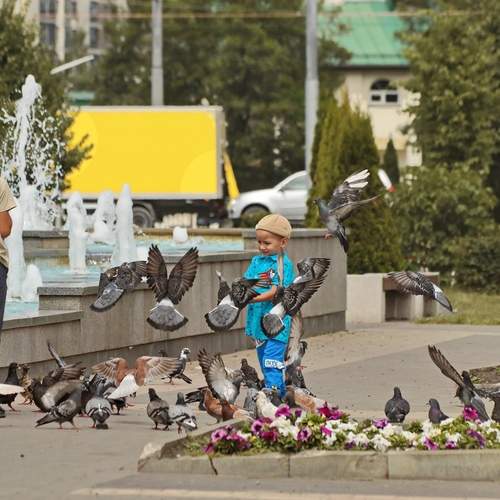 Photo #13708582