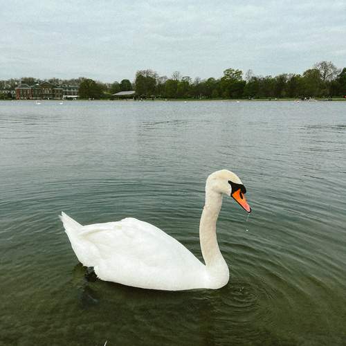 Photo #13708654