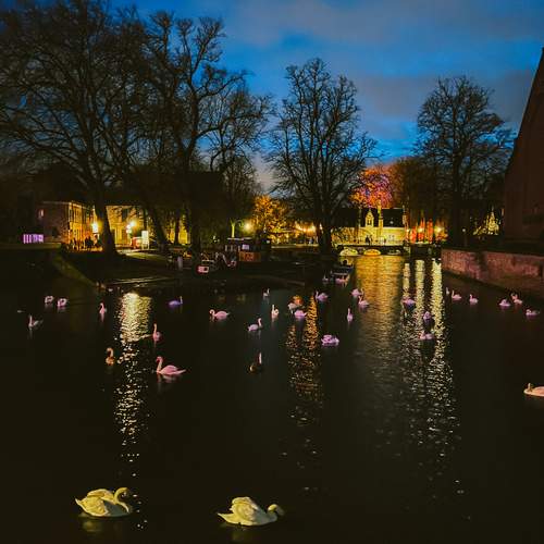 Photo #13708659