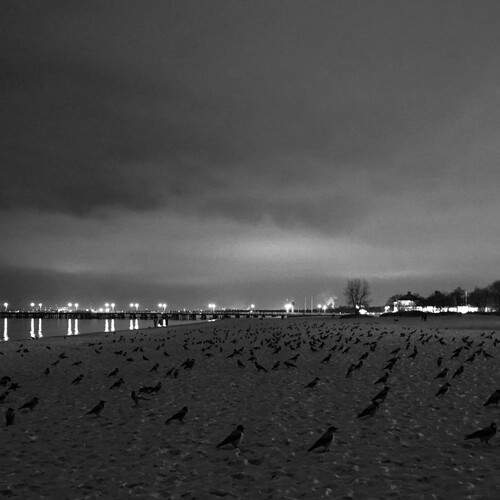 ,,Invasion,,