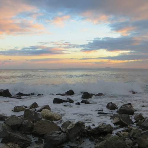 Photo #13708664