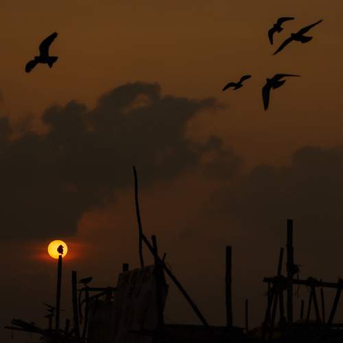 Photo #13708668