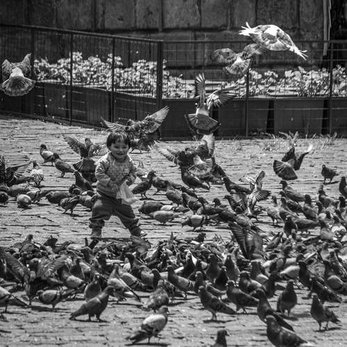 Feeding time