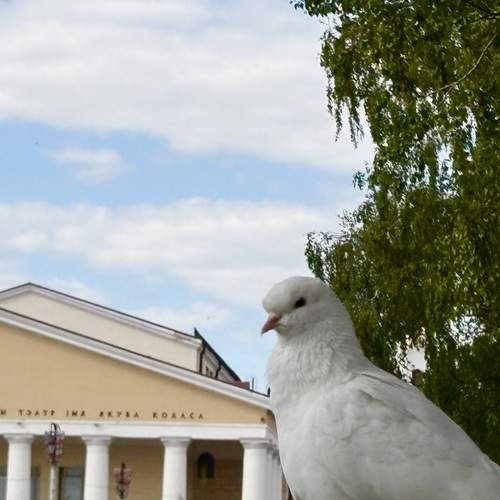 Photo #13708716