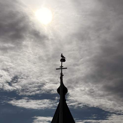 Photo #13708717