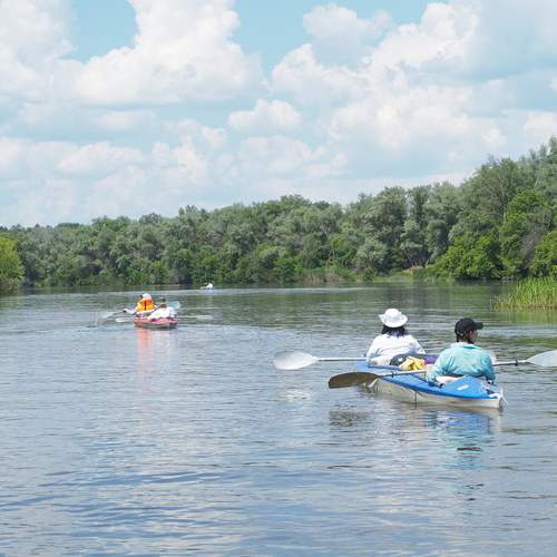 Photo #13708720