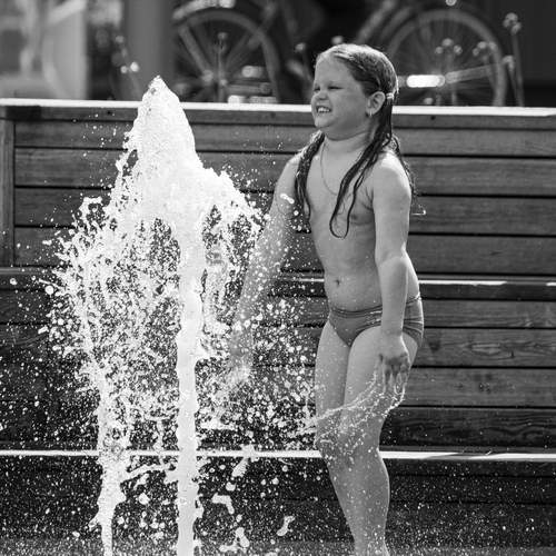 Photo #13708743