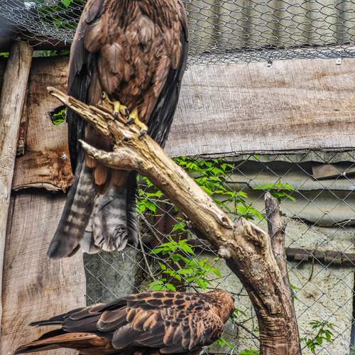 Photo #13708752