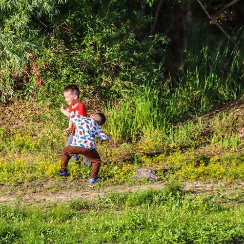 Photo #13708759