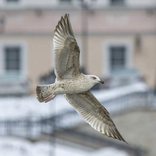 Photo #13708772