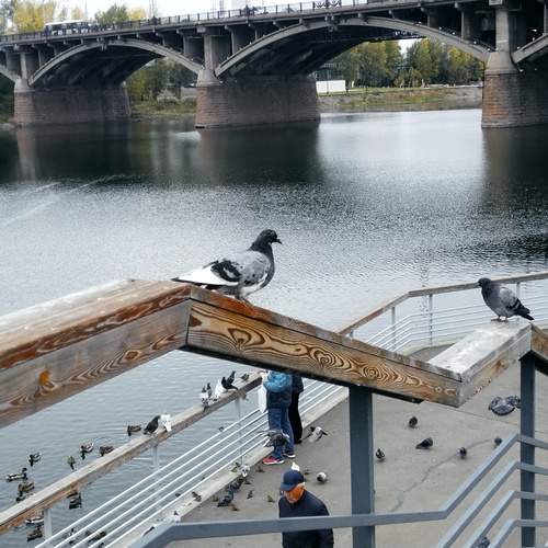 Photo #13708773