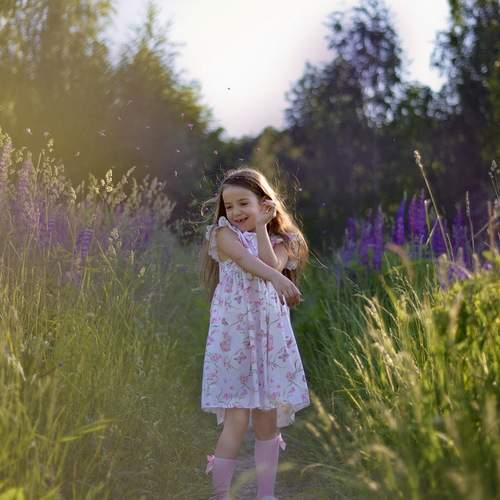 Photo #13708817