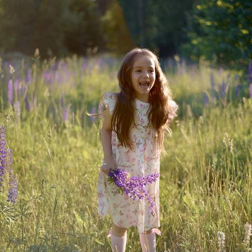 Photo #13708819