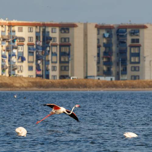 Photo #13708877