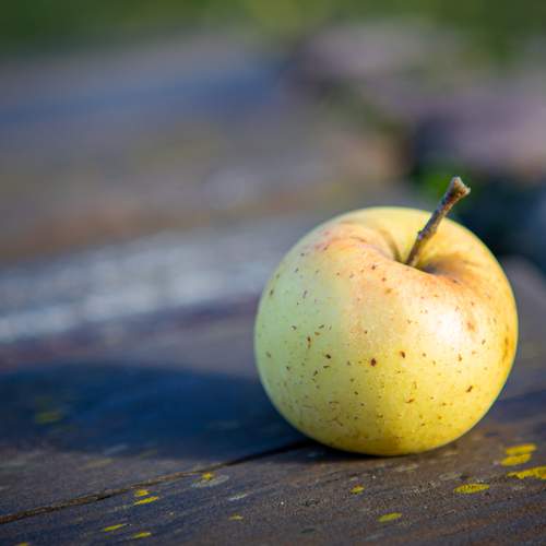 Photo #13708884