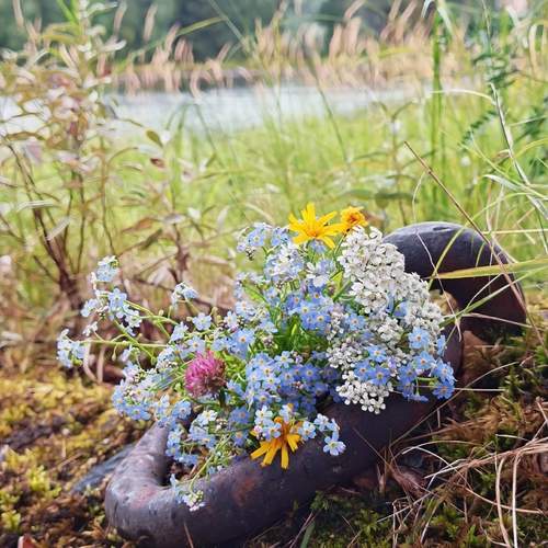 Photo #13708922