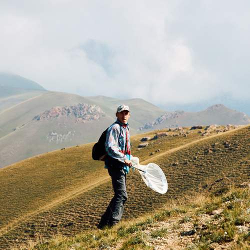 Photo #13708932
