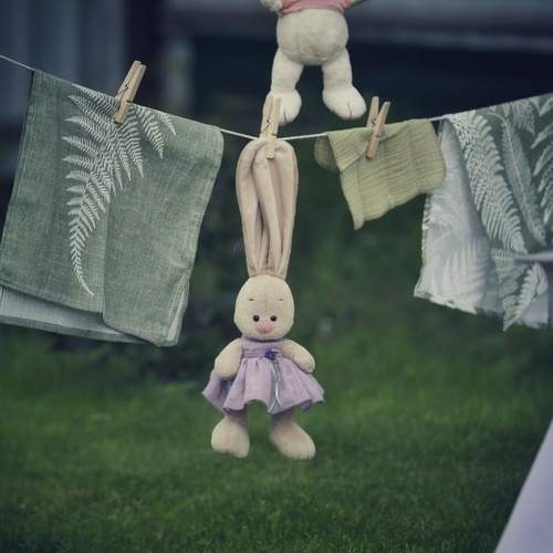 Photo #13708958