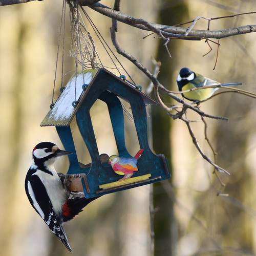 Photo #13708964