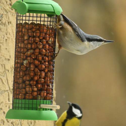 Photo #13708970