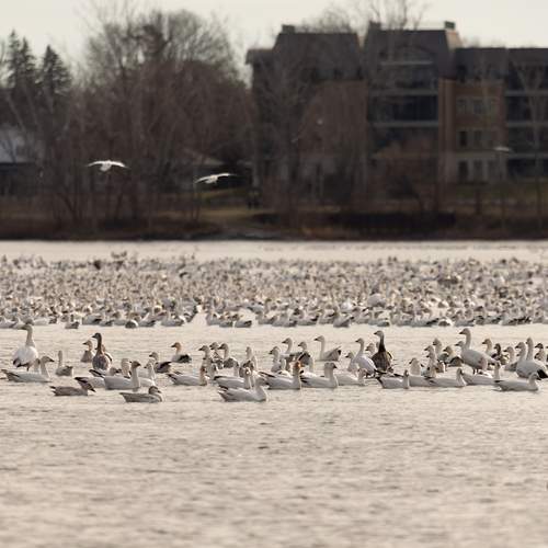 Photo #13709091