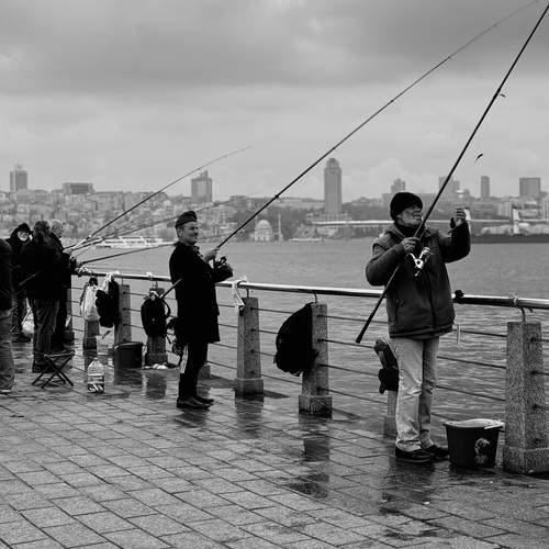 Photo #13709103
