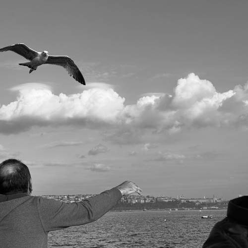 Photo #13709105