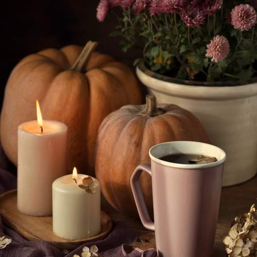 Photo #13709106