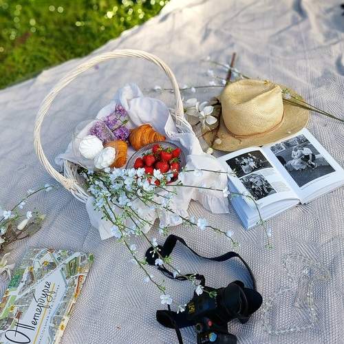 Photo #13709130